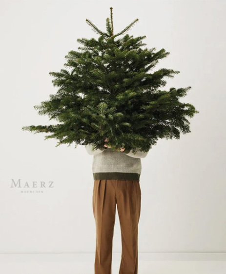 Pullover Maerz Herren in Ettlingen