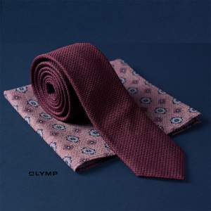 Krawatten in Ettlingen kaufen Olymp